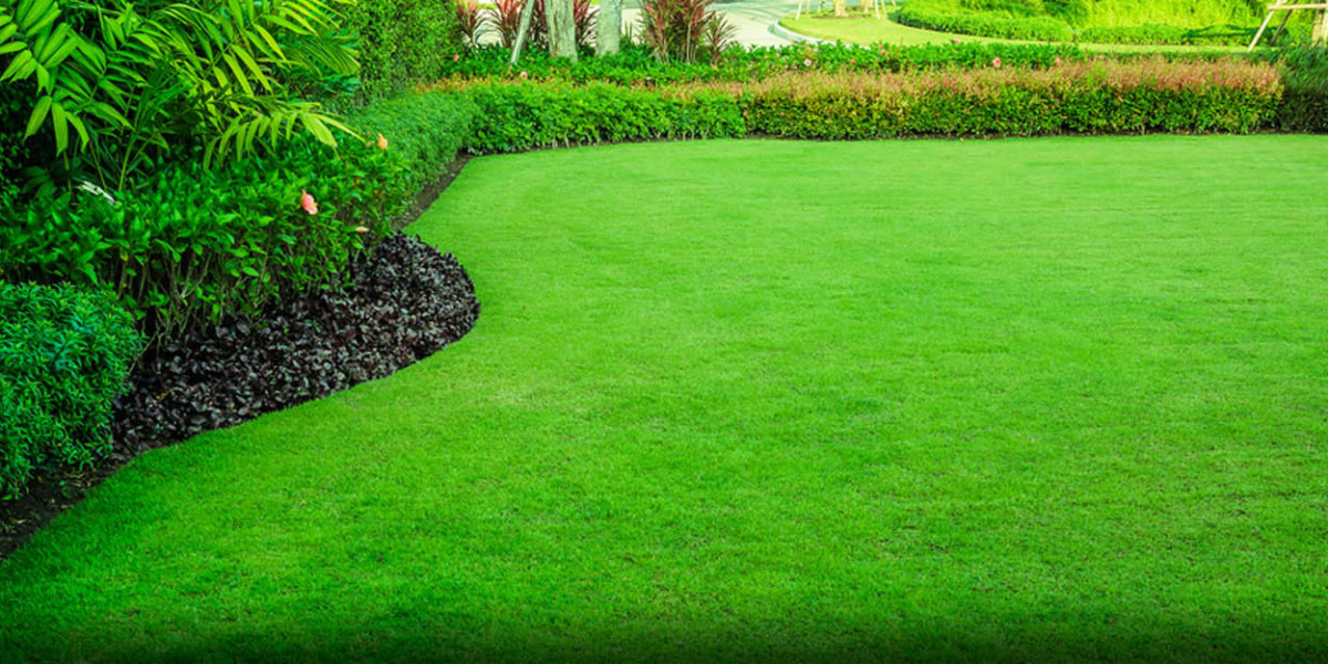 7 Benefits of Landscaping and Gardening